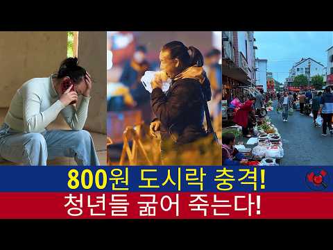 중국반응│생지옥: 중국 경제 30년 후퇴... 800원 도시락 쟁탈전 벌이는 굶주린 수백만 명│중국의 민낯