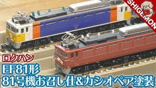 【鉄道模型】ロクハン EF81形電気機関車 新ラインナップ2種類レビュー! / 81号機お召し仕様 & カシオペア塗装 / Zゲージ【SHIGEMON】