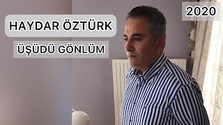 Haydar Öztürk- Üşüdü Gönlüm (yeni 2020) net'de ilk! Resimi