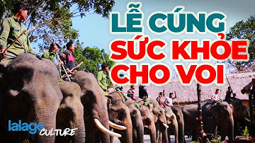 ĐẮK LẮK | Hồ Lắk - nguồn sống của người Tây Nguyên