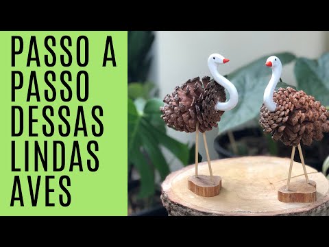 Vídeo: Como Fazer Artesanato De Pinha