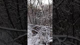 Первый снег. Осень 2024 Рыбалка на реке Кан. Зимняя рыбалка. #поживёмполовим #кан #рыбалка #зима