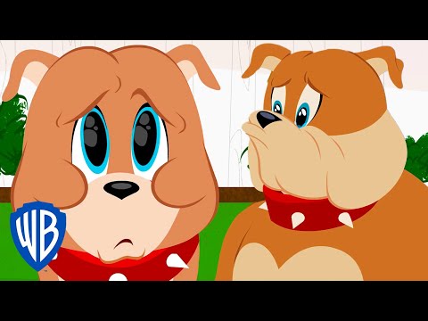 Tom & Jerry | Best of Spike and Tyke | WB Kids