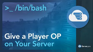 how to op a player on a minecraft server - minecraft java / bedrock