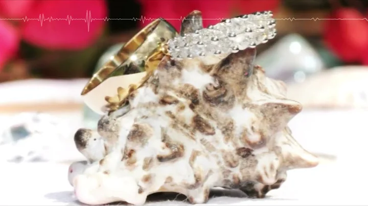 The Reason Why by Joan Patrick (Lyric Video) Writt...