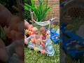 Os mini bebês reborn Sol, Lua e Theo estão se divertindo #diariodeamorreborn #rebornbabydoll #dolls