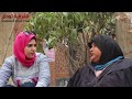 أشهر بائعة مناديل بالزقازيق تحكي قصة حياتها في الشارع أشهر بائعة مناديل بالزقازيق تحكي قصة حياتها في الشارع