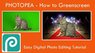 Photopea - Green screen tutorial - how to Photo Edit