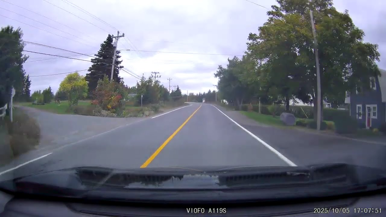 Kingston Forest Fire Aftermath 