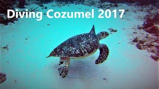 Cozumel Scuba Diving 2017