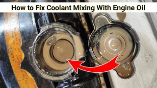 How to Fix Coolant Mixing With Engine Oil | #suzuki