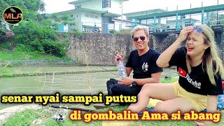 benang nyai sampe putus ~ fishing mania ~ mancing amyar ~ baselini banana fishing ~ mancing mania