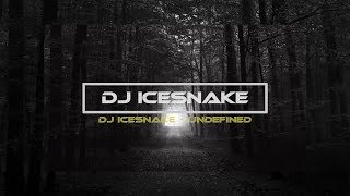 DJ IceSnake - Undefined