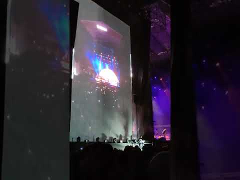 The Strokes -