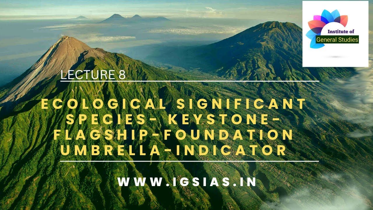 Lecture 8 Ecological significant species- Keystone-Flagship-Foundation