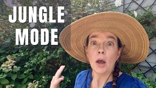 Jungle Maintenance! Taming My Overgrown Summer Garden