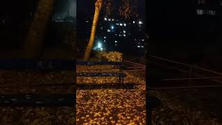 Новополоцк, 25.10.2025 #новополоцк #проходятдни