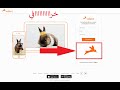 موقع rabbit الخرافي للتصفح والمشاهدة بسرعة تتجاوز 800 MB s جديد 2019 !!!