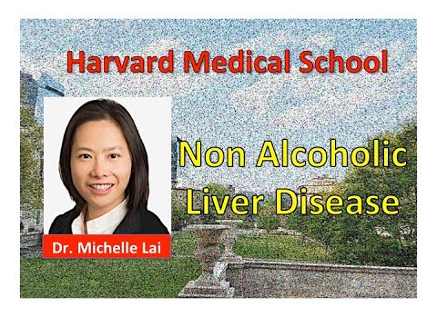 Non Alcoholic Liver Disease, Dr. Michelle Lai, Harvard Medical School (MMS, 4th session, 2020)