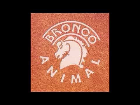 Grupo Bronco Traicion