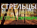 ГОРОСКОП СТРЕЛЬЦЫ С 05 ПО 11 ОКТЯБРЯ НА НЕДЕЛЮ.2020