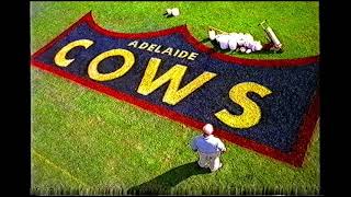 Adelaide Cows Snickers advert from 90s