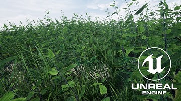 UE4 dynamic ground Foliage cinematic Trailer
