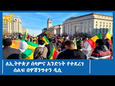 ለኢትዮጵያ ሰላምና አንድነት የተደረገ ሰልፍ በዋሽንግተን ዲሲ