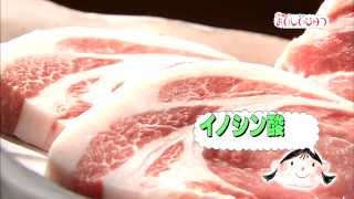 噂のブランド食材 おいしいひみつ vol1　〜精肉成分と飼料用米との関係