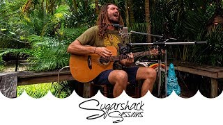 Paul Izak - Dragonfly Lullaby (Live Music) | Sugarshack Sessions chords