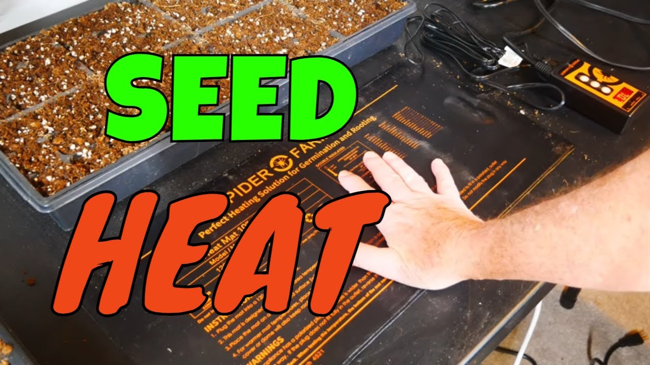 Using Heat Mats For Seed Starting (Pros & Cons) — Empress of Dirt