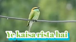 Ye Kaisa Rista Haiaitbaar Nhi Karnavishal Kumar