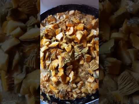 ‼️ЖАРЮ РЫЖИКИ 🤤👍🍄