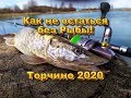 Как не уехать без рыбы!!! Торчино (Б.Борисово)2020г. Личный опыт.