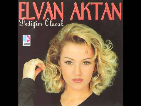 ELVAN AKTAN-HERŞEYE RAZIYIM