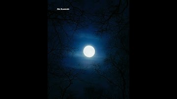 القارئ عبد الرحمن مسعد ﴿ سورة العنكبوت ﴾ ❤️🌙🎧
