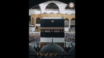 سورة الزمر قارئ الشيخ / ماهر المعيقلي