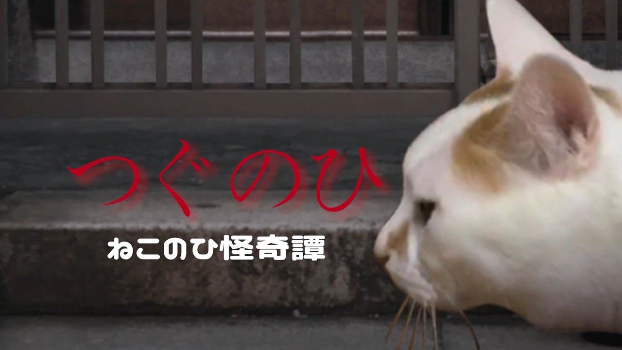 ねこのひ！にゃんてこったい！【つぐのひ】