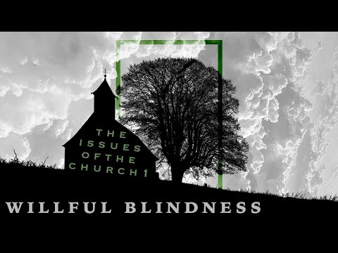 Willful Blindness - Pastor David Moon