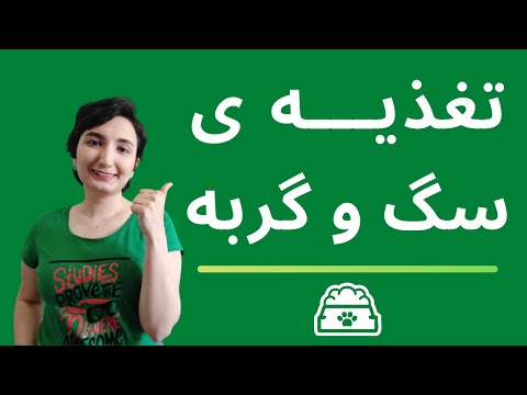 تصویری: اسیدهای چرب و رژیم غذایی گربه شما