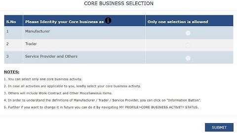 GST Portal: New feature to select Core Business Activity on GST Portal