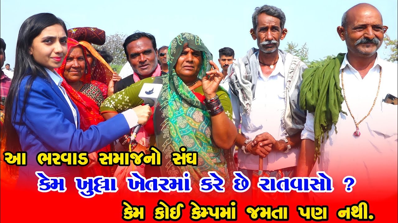 આ ભરવાડ સમાજનો સંઘ કેમ ખુલ્લા ખેતરમાં કરે છે રાતવાસો, કેમ કોઈ કેમ્પમાં જમતા પણ નથી |@AmazingDwarkaa