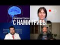 С нами грибы. Психосоматика и микотерапия. Вишневский, Александрова, Бекетов