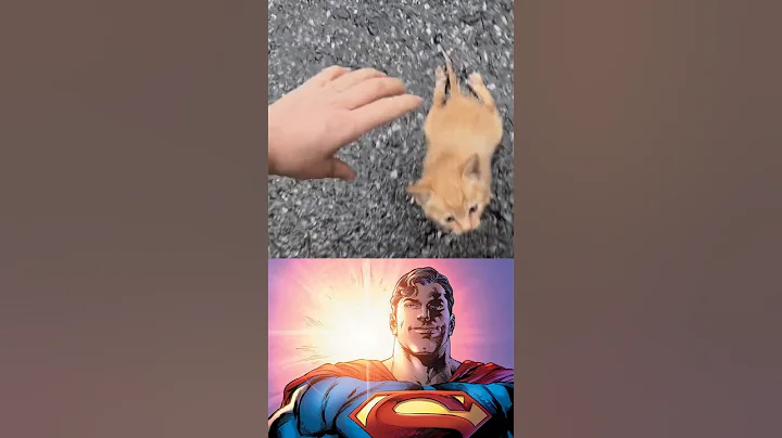 💗😻 #starman #kindness #memes #kitten #heroes #superman #shorts
