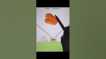 Cut carrots and collect carrot slices.