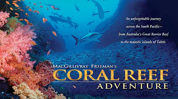 Coral Reef Adventure