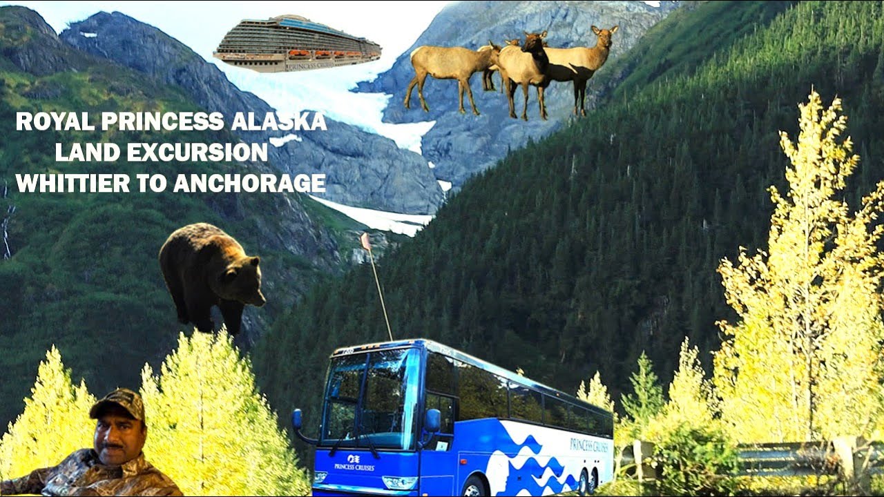 royal princess alaska excursions