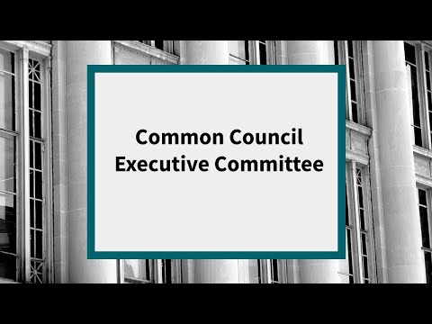 Common Council Executive Committee: Meeting of April 21, 2020