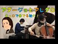 シューマン:アダージョとアレグロ　ピアノとチェロ