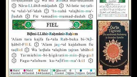 ختمة من مصحف التجويد باللغة الألمانية الصفحة رقم 601